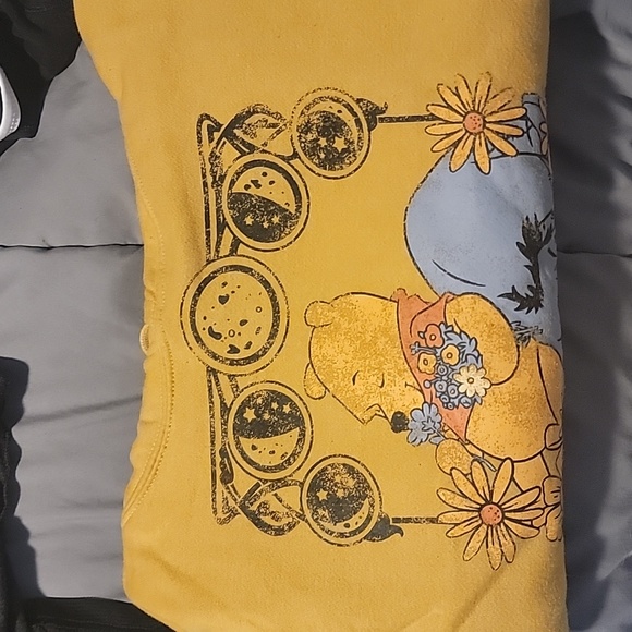 Winnie the Pooh & Eeyore hoodie - Picture 4 of 4